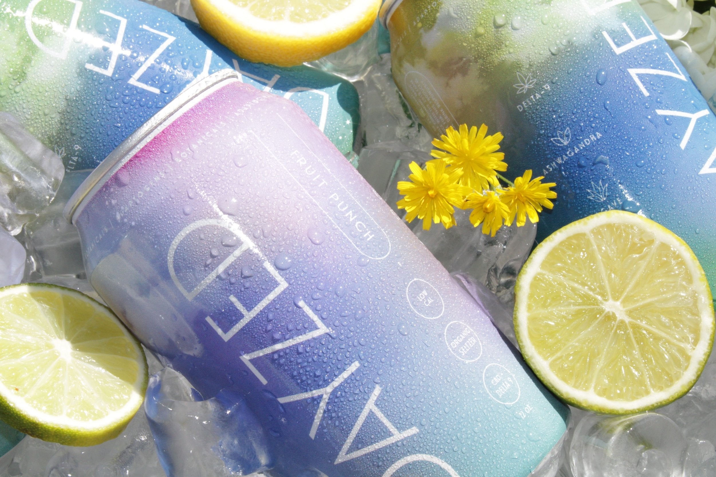 Dayzed THC Drinks - Zazzy Marketplace