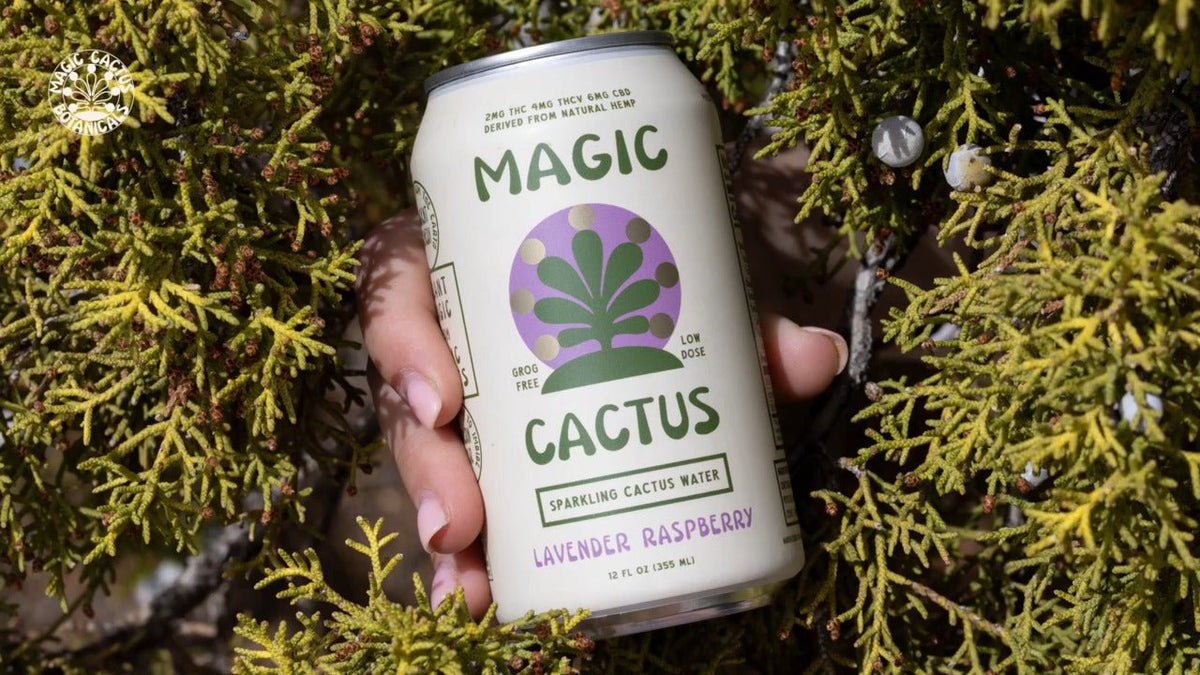 Magic Cactus Magic Cactus THC Drinks - Where to Buy, Reviews & Prices