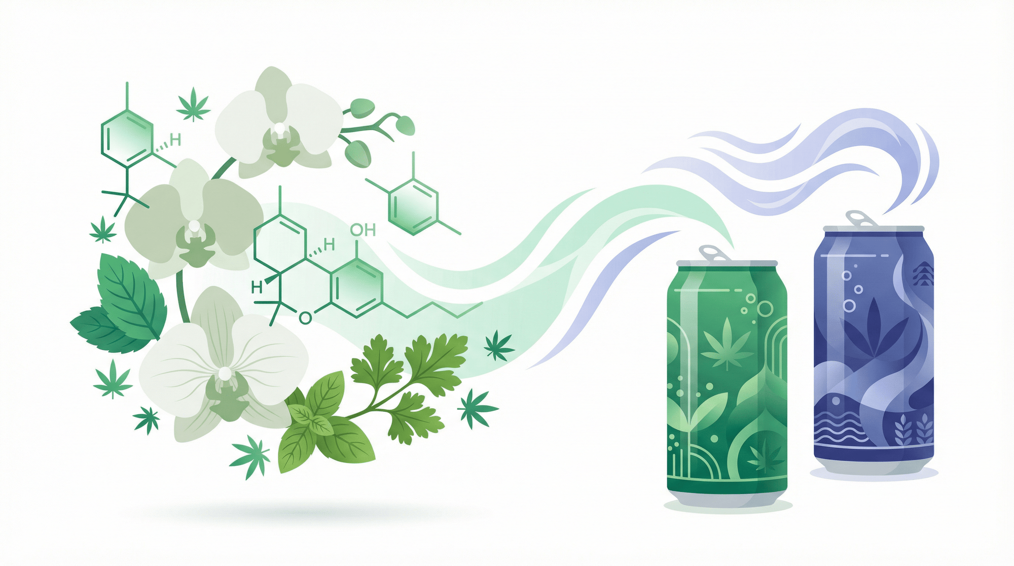 Ocimene Terpene Effects: Benefits, Uses & THC Drinks - Zazzy Marketplace