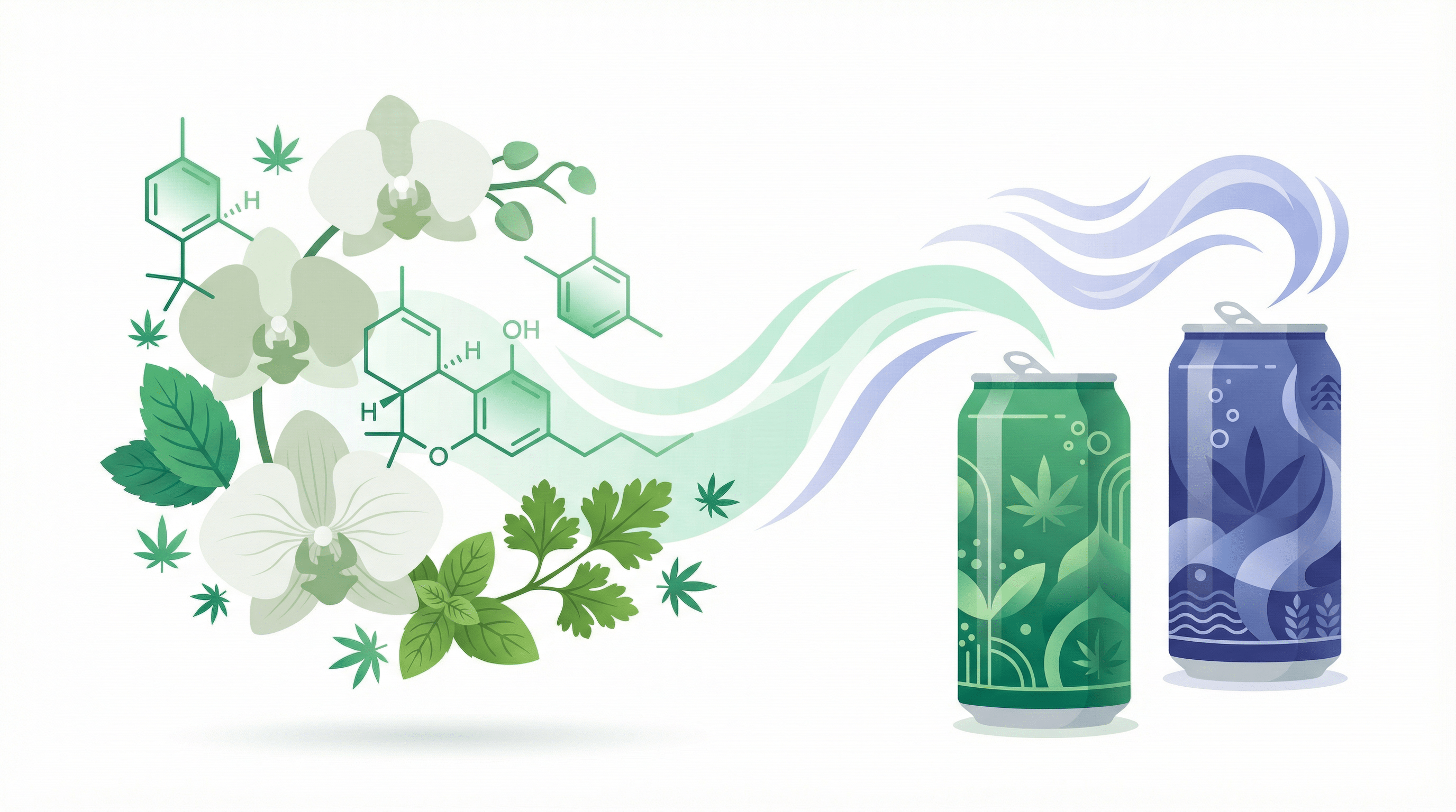 Ocimene Terpene Effects: Benefits, Uses & THC Drinks - Zazzy Marketplace