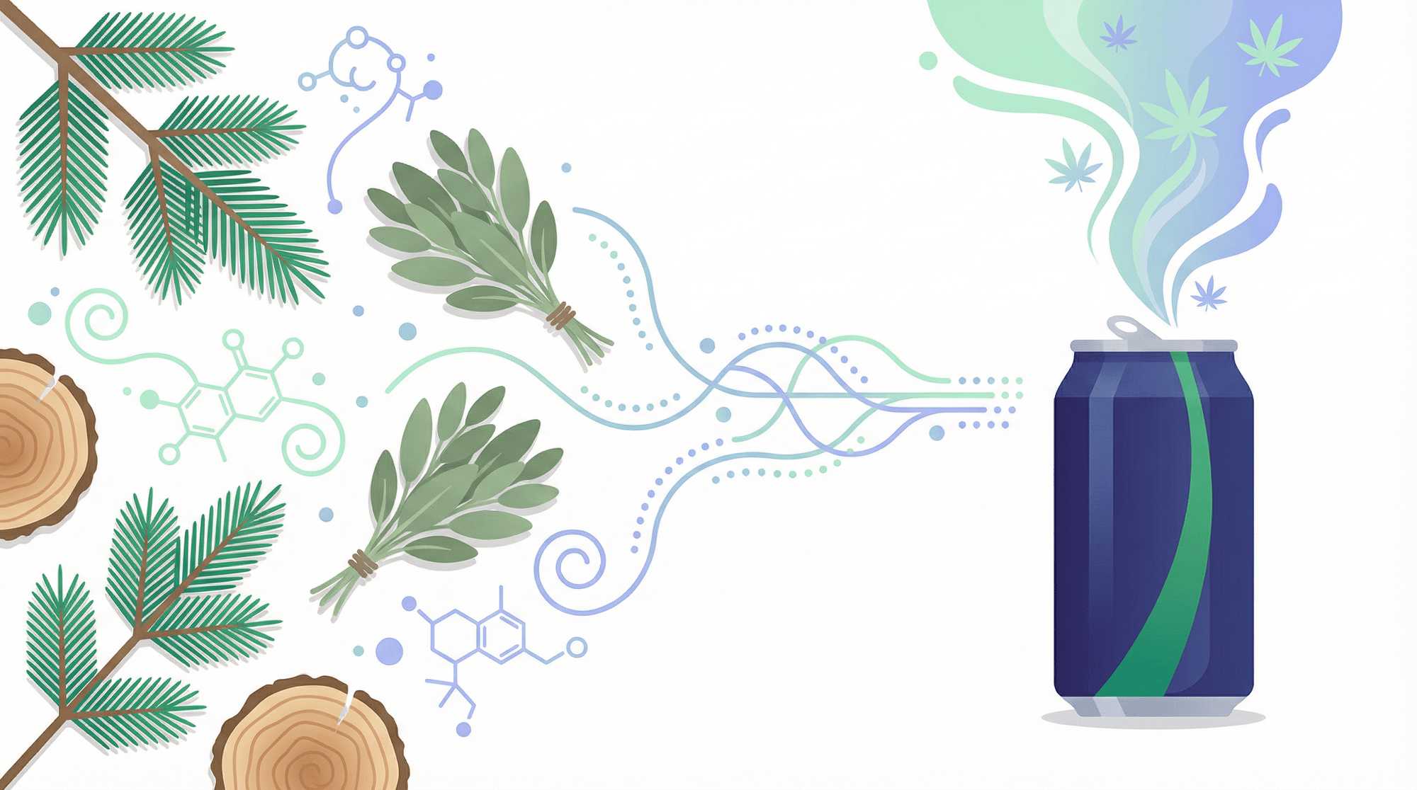 Terpinolene Terpene: Effects, Benefits & Cannabis Strains - Zazzy Marketplace